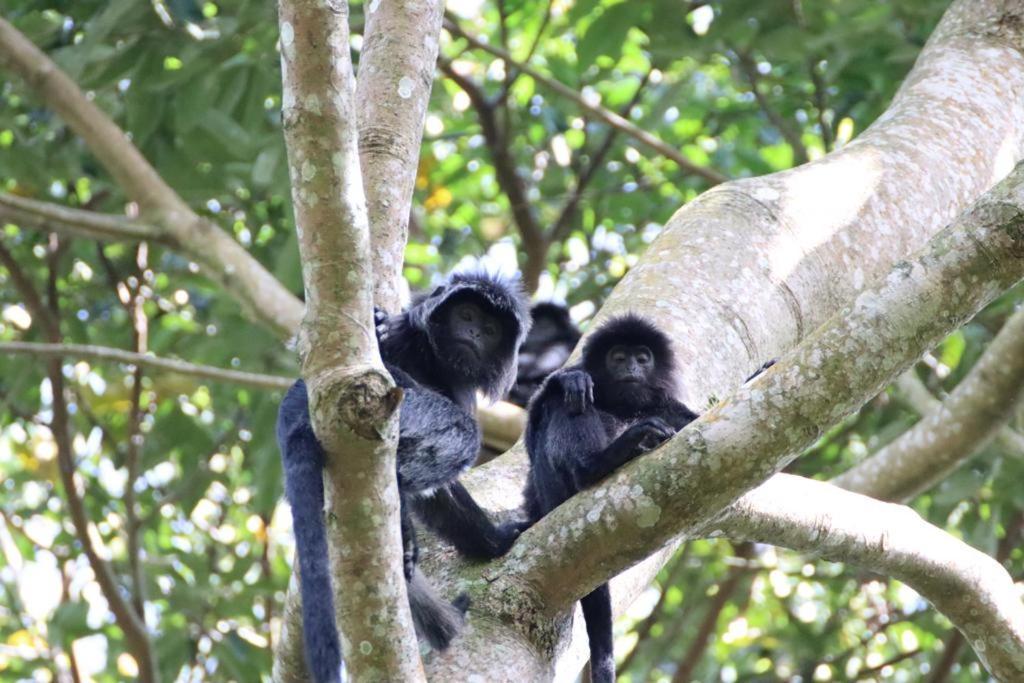 Tetebatu Indah Homestay Dış mekan fotoğraf