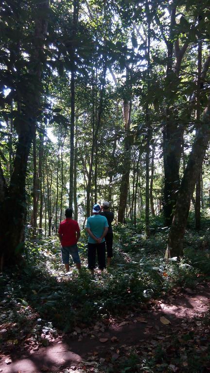 Tetebatu Indah Homestay Dış mekan fotoğraf