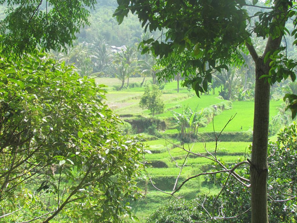 Tetebatu Indah Homestay Dış mekan fotoğraf