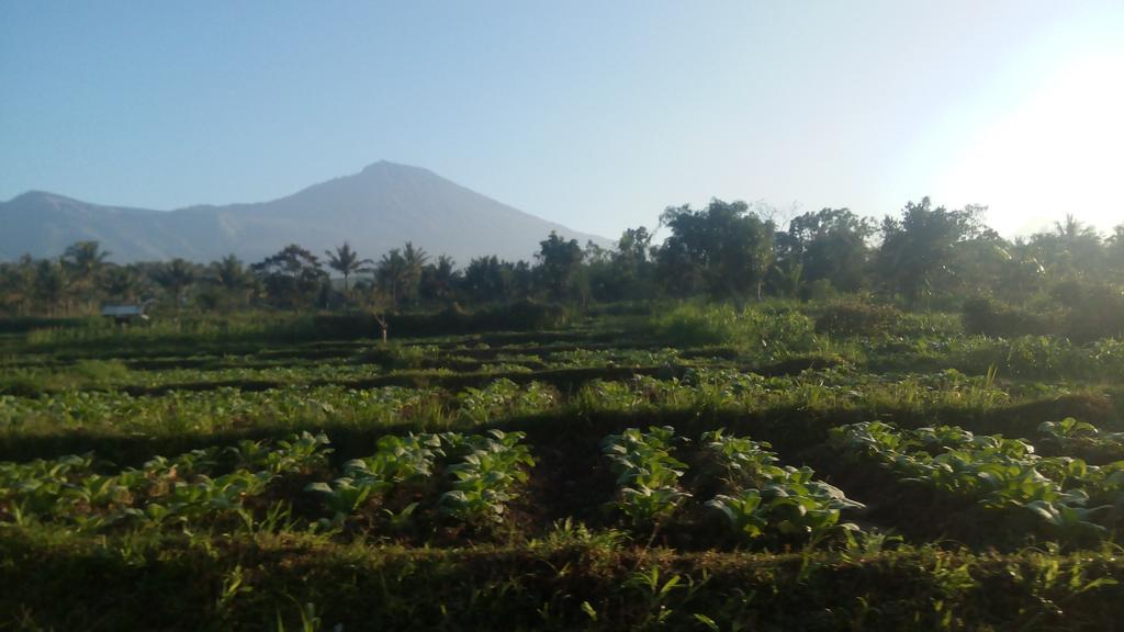 Tetebatu Indah Homestay Dış mekan fotoğraf