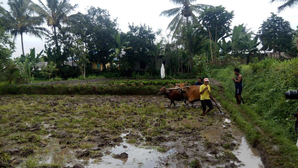 Tetebatu Indah Homestay Dış mekan fotoğraf