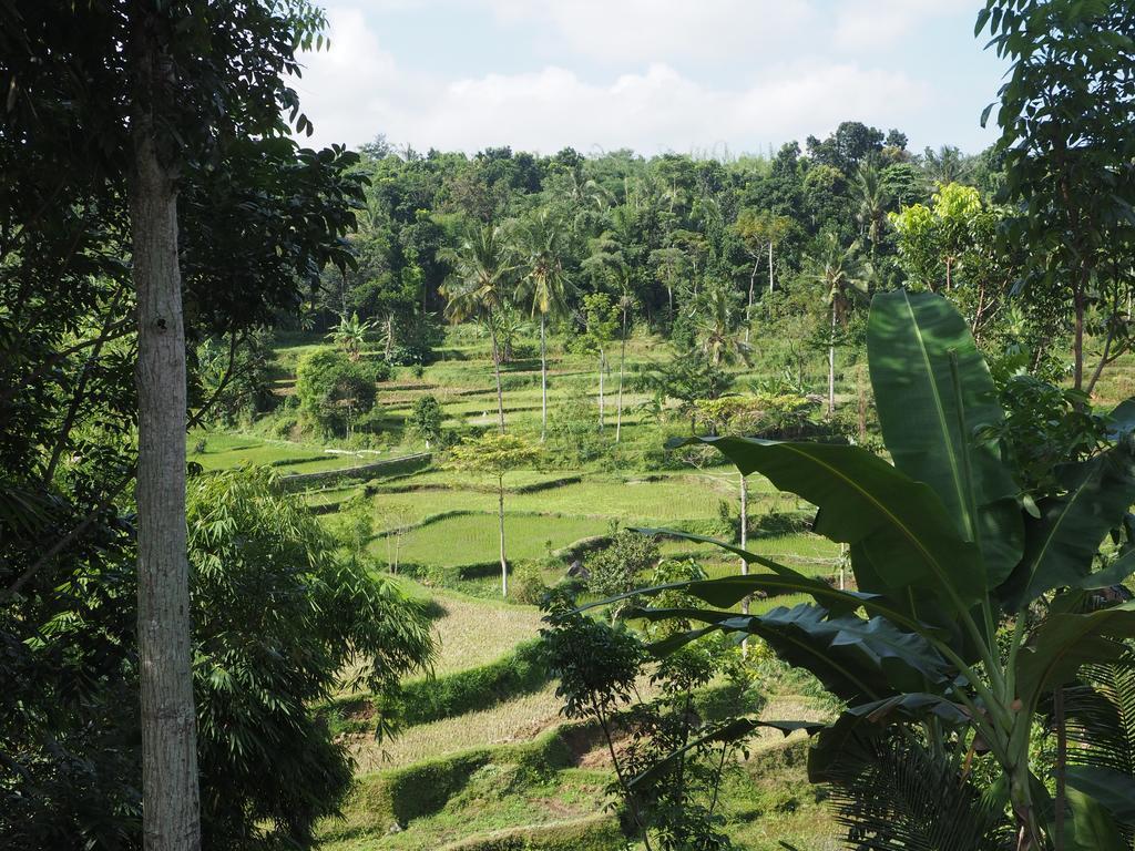 Tetebatu Indah Homestay Dış mekan fotoğraf