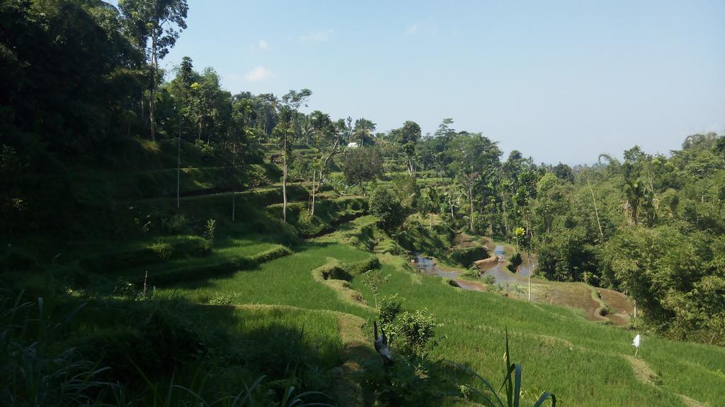 Tetebatu Indah Homestay Dış mekan fotoğraf