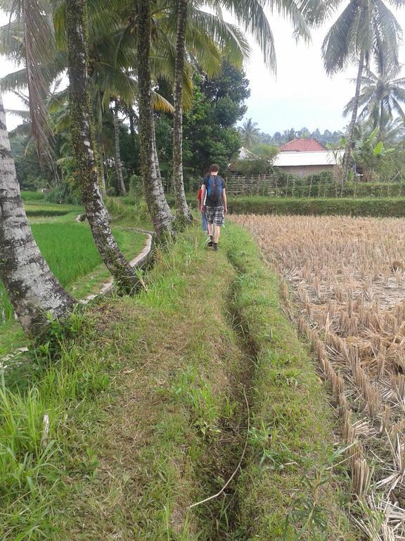 Tetebatu Indah Homestay Dış mekan fotoğraf