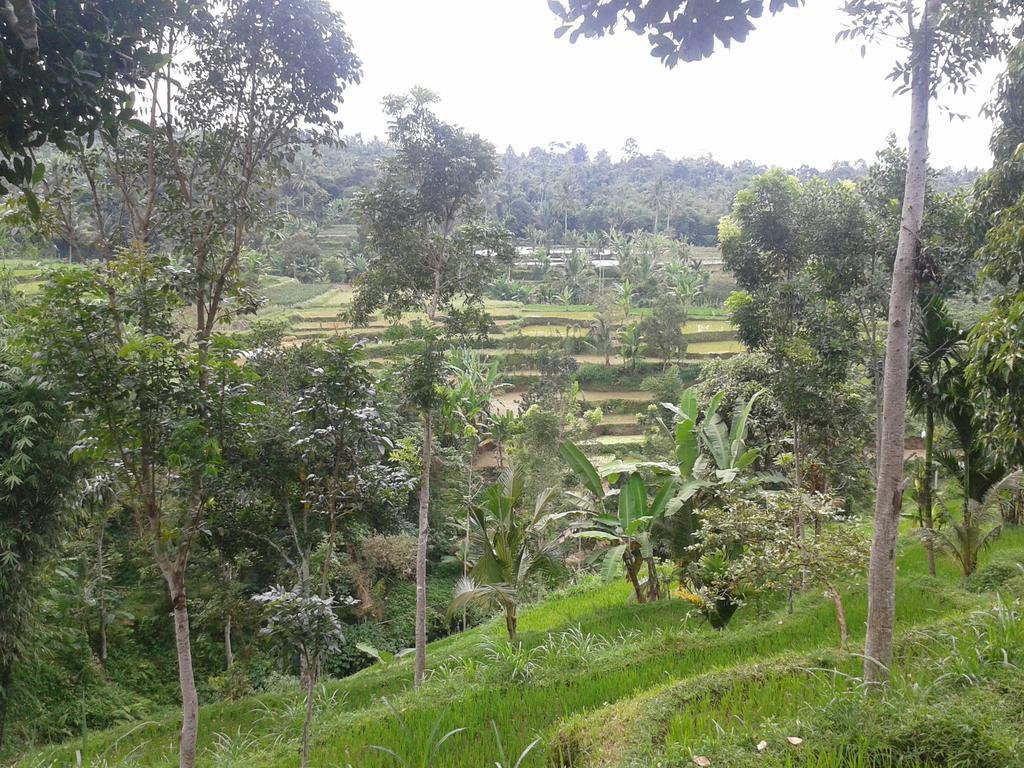 Tetebatu Indah Homestay Dış mekan fotoğraf