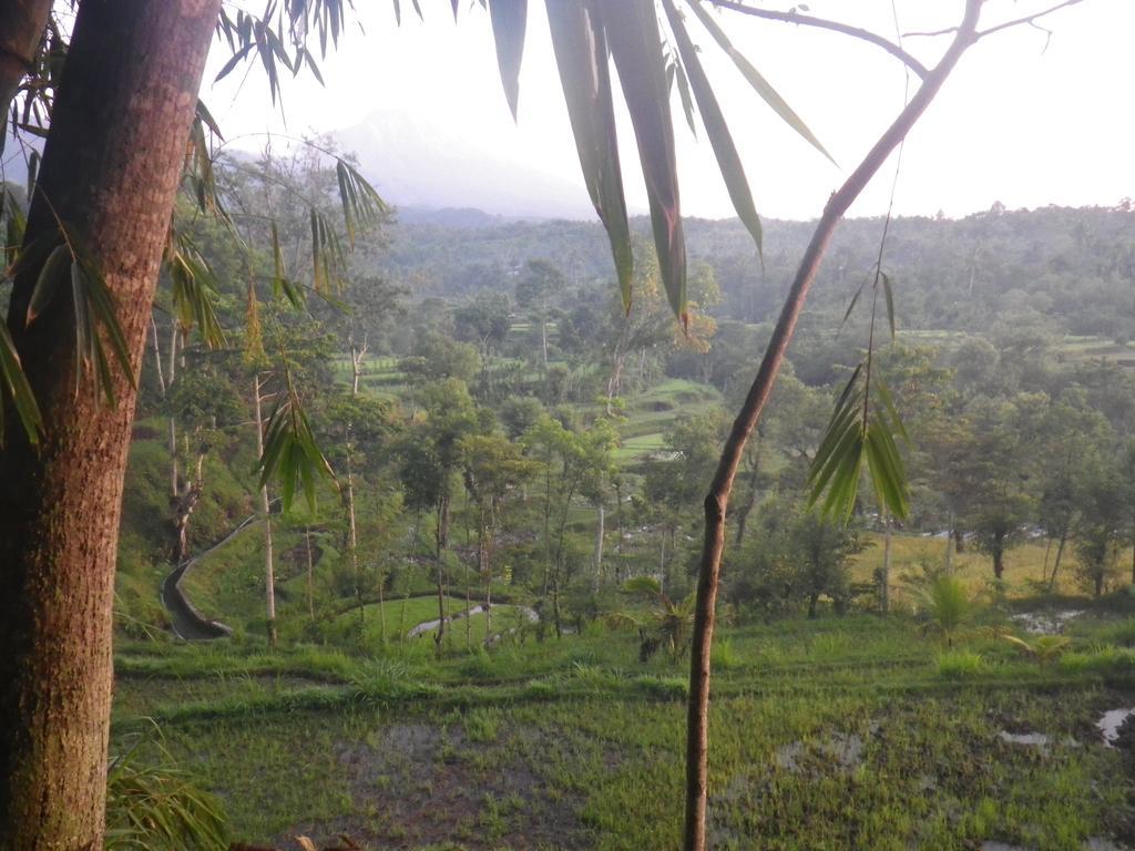 Tetebatu Indah Homestay Dış mekan fotoğraf